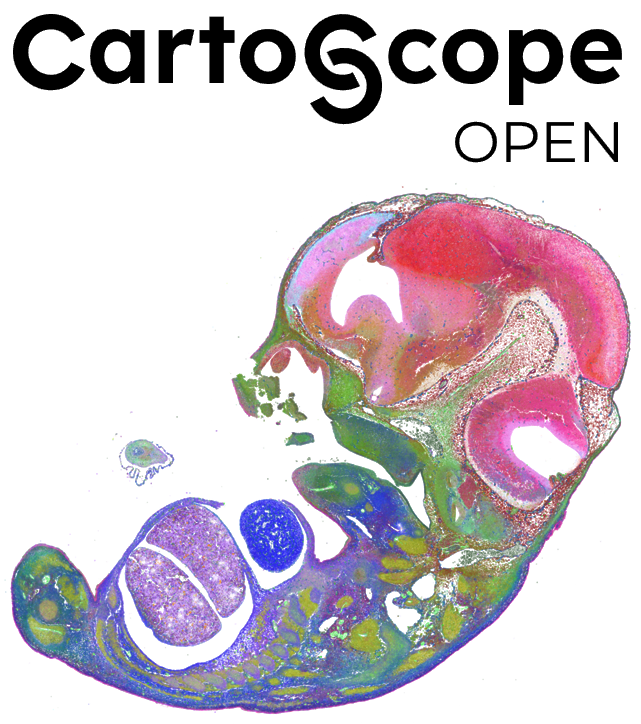 CartoScope